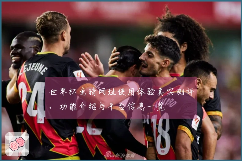 世界杯竞猜网址使用体验真实测评，功能介绍与平台信息一览