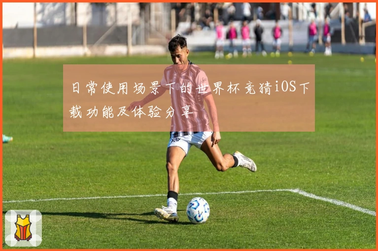 日常使用场景下的世界杯竞猜iOS下载功能及体验分享