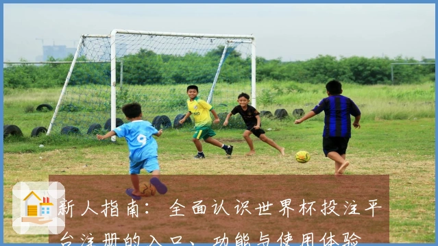 新人指南：全面认识世界杯投注平台注册的入口、功能与使用体验