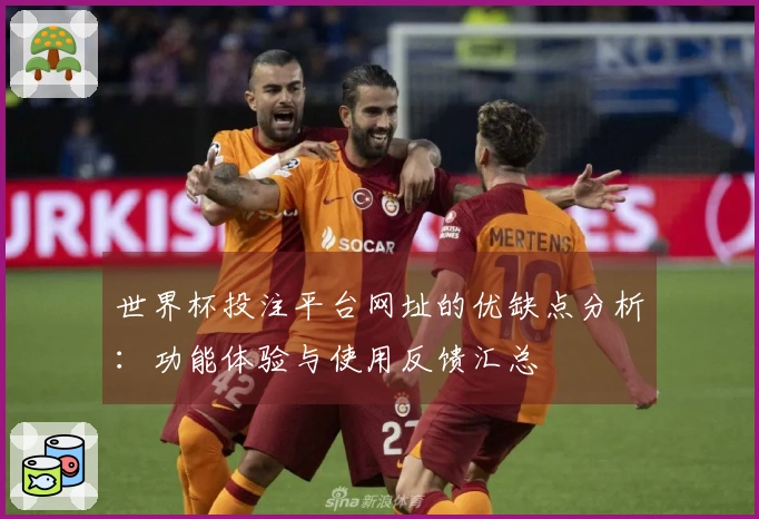 世界杯投注平台网址的优缺点分析：功能体验与使用反馈汇总