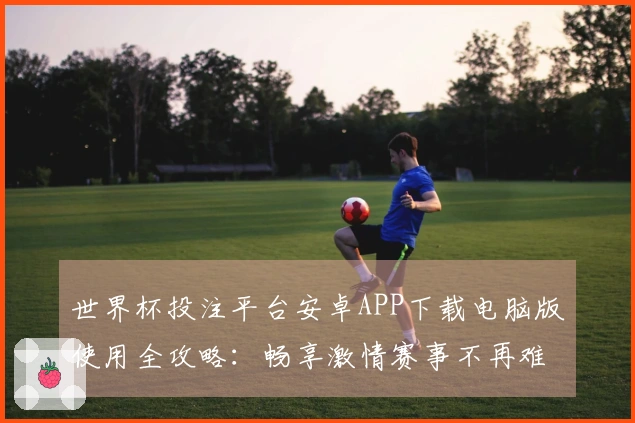 世界杯投注平台安卓APP下载电脑版使用全攻略：畅享激情赛事不再难