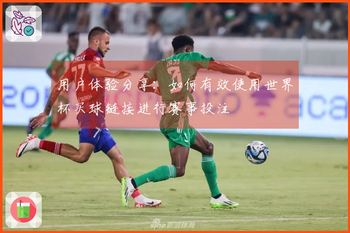 用户体验分享：如何有效使用世界杯买球链接进行赛事投注