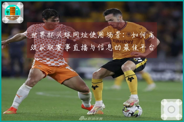 世界杯买球网址使用场景：如何高效获取赛事直播与信息的最佳平台体验